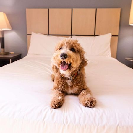 Sonesta Simply Suites Columbus Airport Gahanna エクステリア 写真