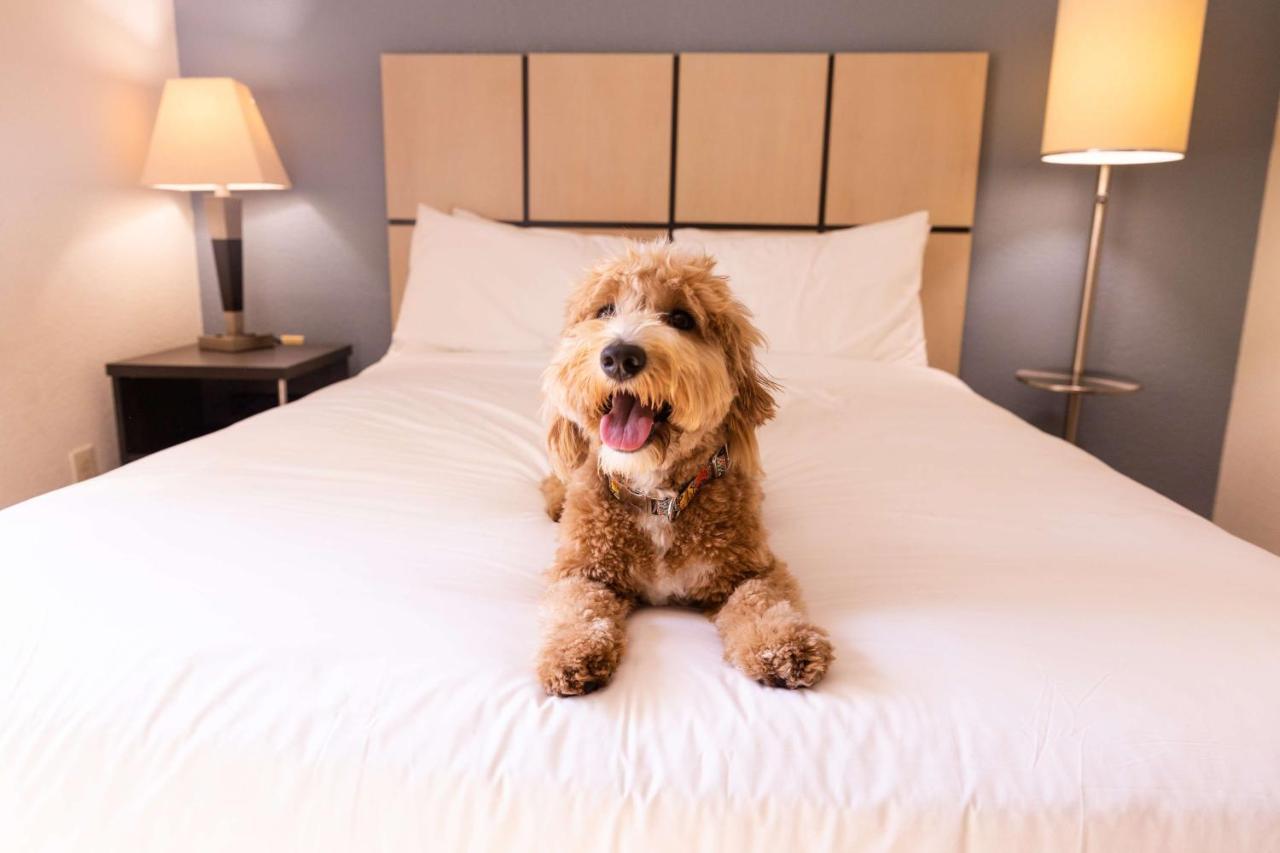 Sonesta Simply Suites Columbus Airport Gahanna エクステリア 写真